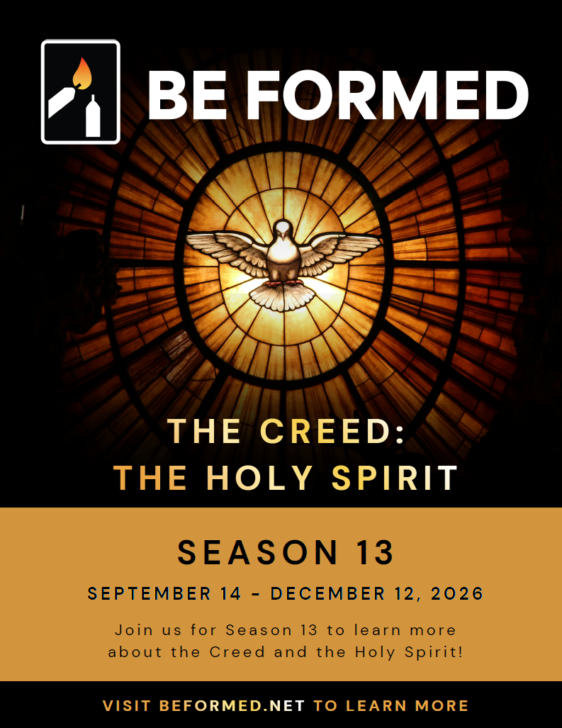 Be Formed Season 13 poster